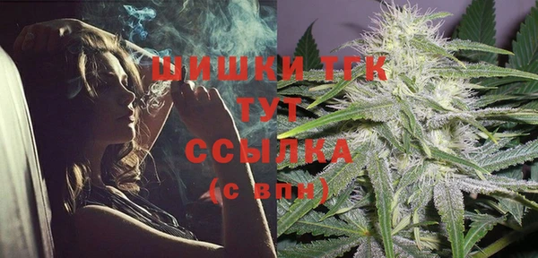 шишки Алексин