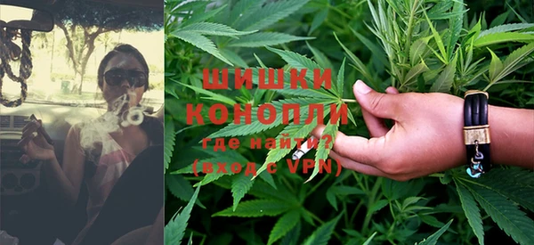 шишки Алексин