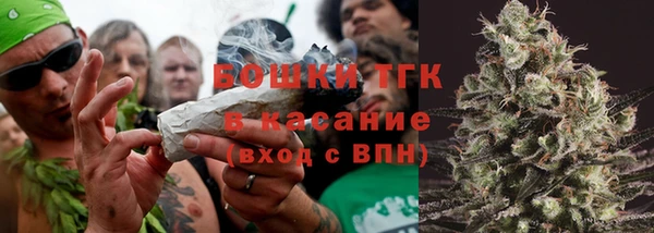 шишки Алексин