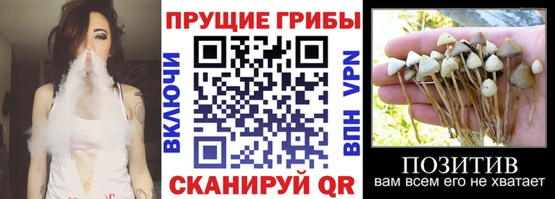 Псилоцибиновые грибы Magic Shrooms  Безенчук 